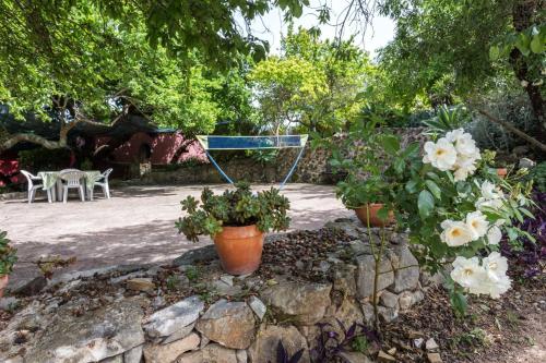Casa Adega - Quinta Amoreira - image 5