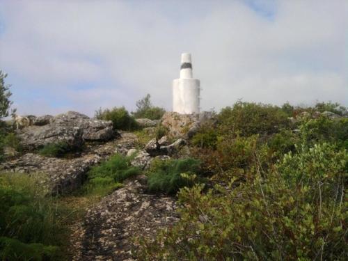 Casa Adega - Quinta Amoreira - image 8