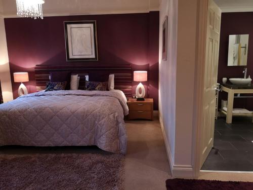 Glangwili Mansion - image 3