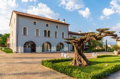K-Farm, Vicenza