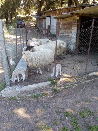 1 Maison de campagne