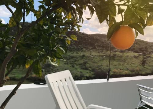 Paraíso D`el Rio - image 4