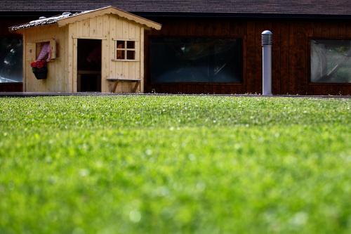Residence Nele - image 7