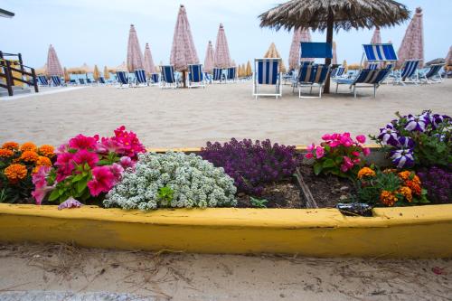 Hotel Cerrano - image 4
