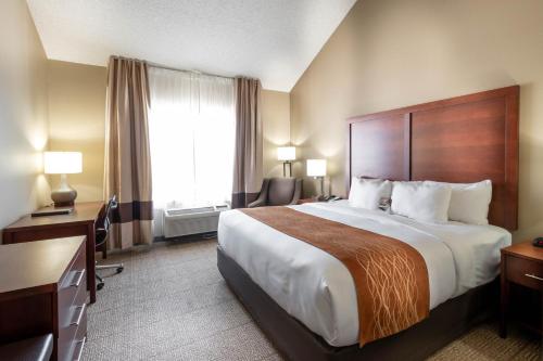 Comfort Inn & Suites Love Field-Dallas Market Center in Stemmons Corridor