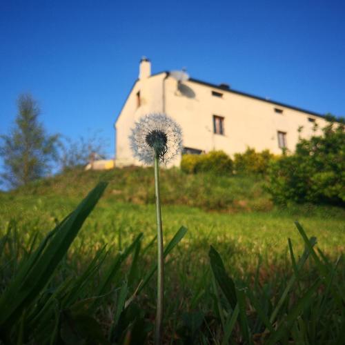  Casa a Pedra in Reiriz