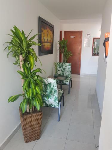 Hotel Esperanza AC in 曼薩尼約