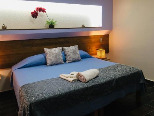 . Hotel Posada Comala