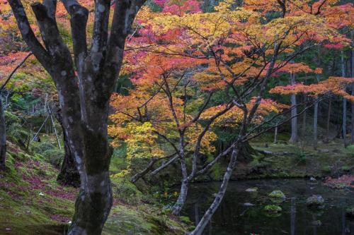 HOTEL ARROWS ARASHIYAMA