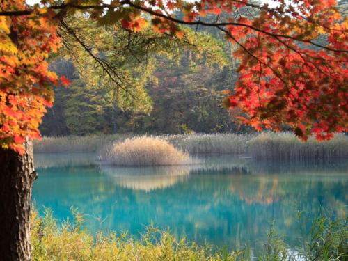 Urabandai Lake Resort Geihinkan Nekoma Rikyu