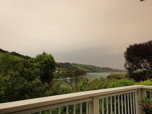 Tui2 Macandrew Bay in Macandrew Bay