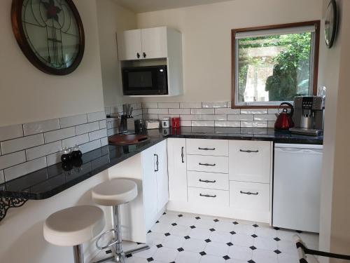 Tui2 Macandrew Bay in Macandrew Bay