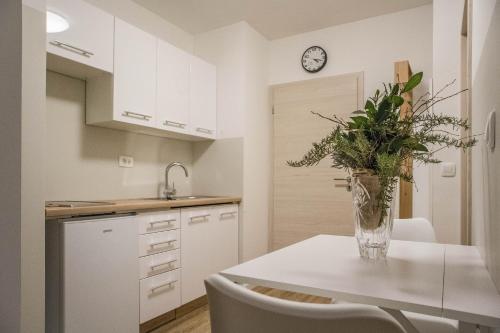 Cocina, Jantar Apartmaji in Novo Mesto