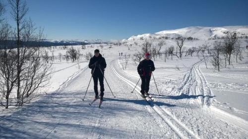 Pensionat Mullfjället