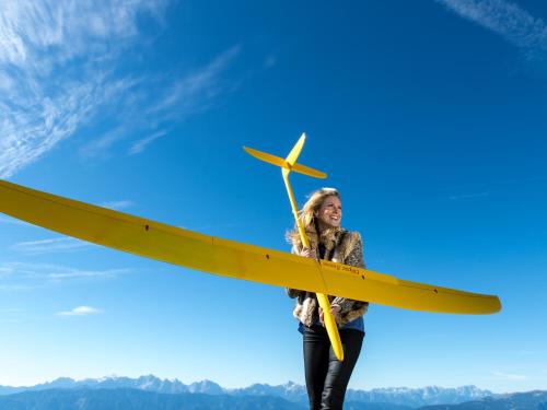 Alpinhotel Pacheiner - image 7