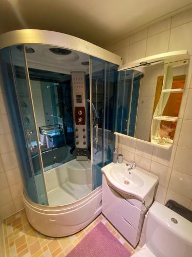 Fürdőszoba, Cozy one bedroom apartment in the city center in Mazeikiai