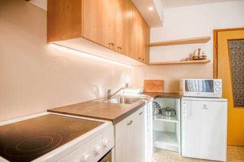 Villa Noce 1 - apartment with garden in Tesero