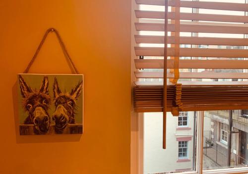 The Webstersland Residence - image 14