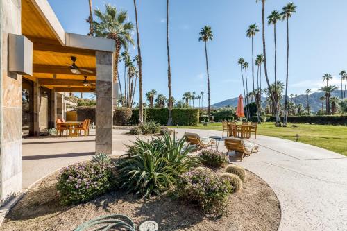 Morning Springs Mirage - image 8