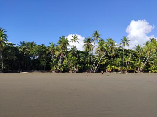 пляж, Uvita Pirates Hostel in Увіта