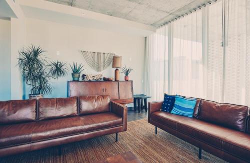 South Congress Hotel - image 6