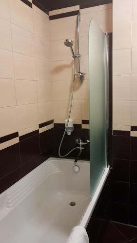 Attache Hotel - image 11
