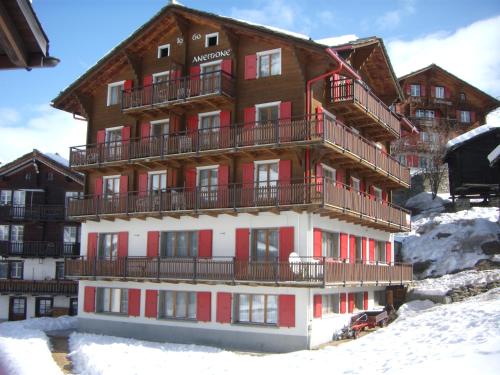 Anemone, Saas-Fee (foto 5)