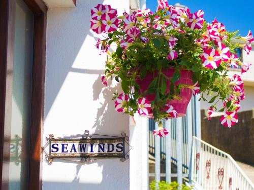Seawinds Bed and Breakfast - main image
