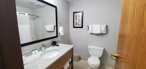 Wingate by Wyndham Lethbridge