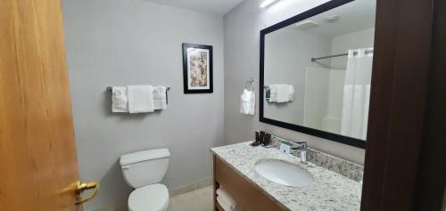 Wingate by Wyndham Lethbridge