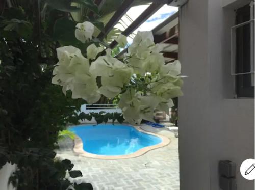 Pereybere Villa Valari with Pool Near Beach, Pereybere