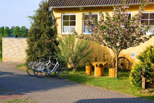 Hotel am Müritz-Nationalpark