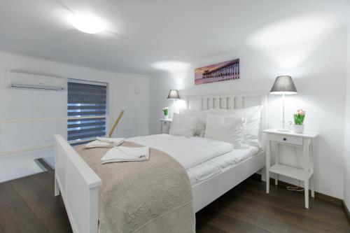 Sleek Minimalist Studio at Inner City, Budapešť (fotografie 3)
