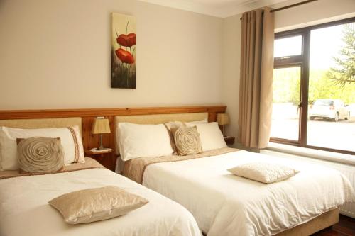 Torine House B&B - image 4