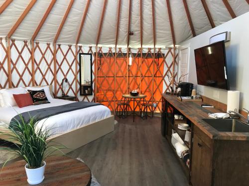 Escalante Yurts - Luxury Lodging