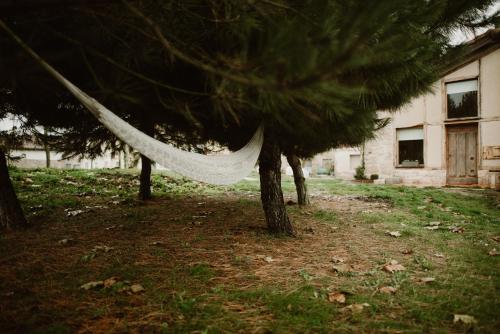 Casa Rural El Cocodrilo, tranquila a 20 min de Burgos in Atapuerca