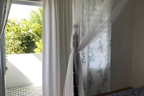 CARMELORIA IV - image 7