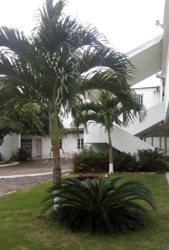 Sea Shell Palms, Ocho Rios