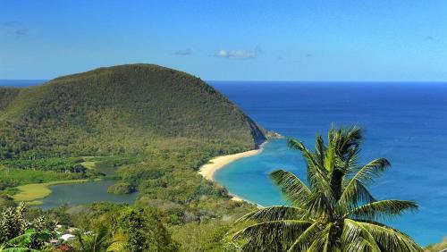 Caraibes Cottages