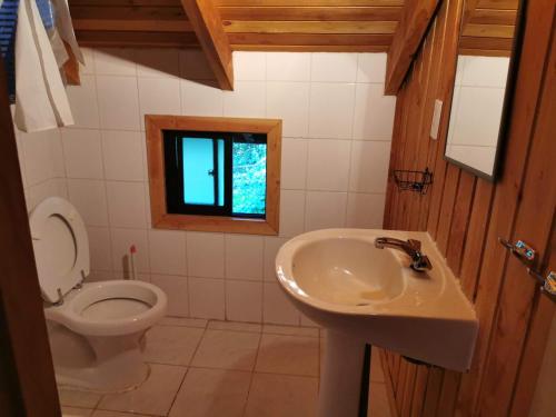 Cabaña Pudomo en Coñaripe con Hot-tub exclusivo