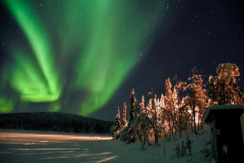 Arctic Paradise - Hotel - Koskullskulle