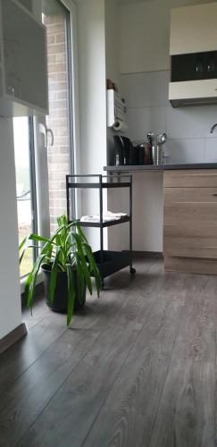 кухня, Ferienwohnungen Nahrstedt in Вальдек