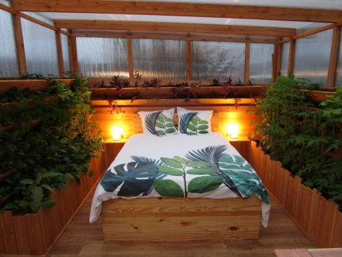 La serre des brasseurs et son jacuzzi gîte à louer Donzy-le-Pertuis