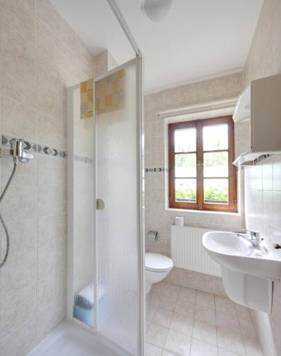 Pension U Háčků - image 11
