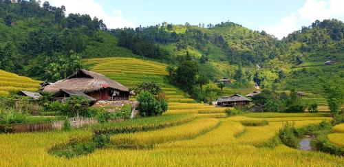 Surrounding environment, La Beaute Bac Ha in Bac Ha (Lao Cai)