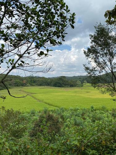 TripThrill Chelsea Forest Stay
