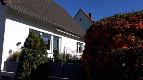 Ferienwohnung Auszeit - image 7