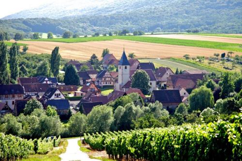 Elsasslogie im Winzerdorf - Location saisonnière - Cleebourg