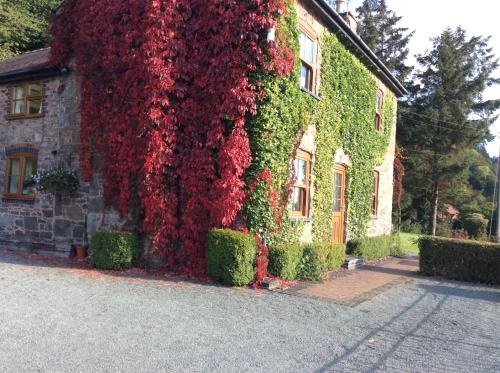 TAN Y GRAIG in Meifod