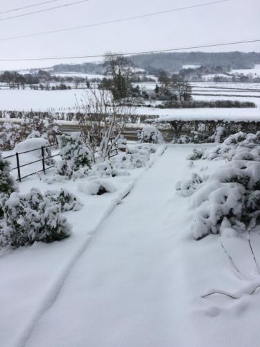 TAN Y GRAIG in Meifod